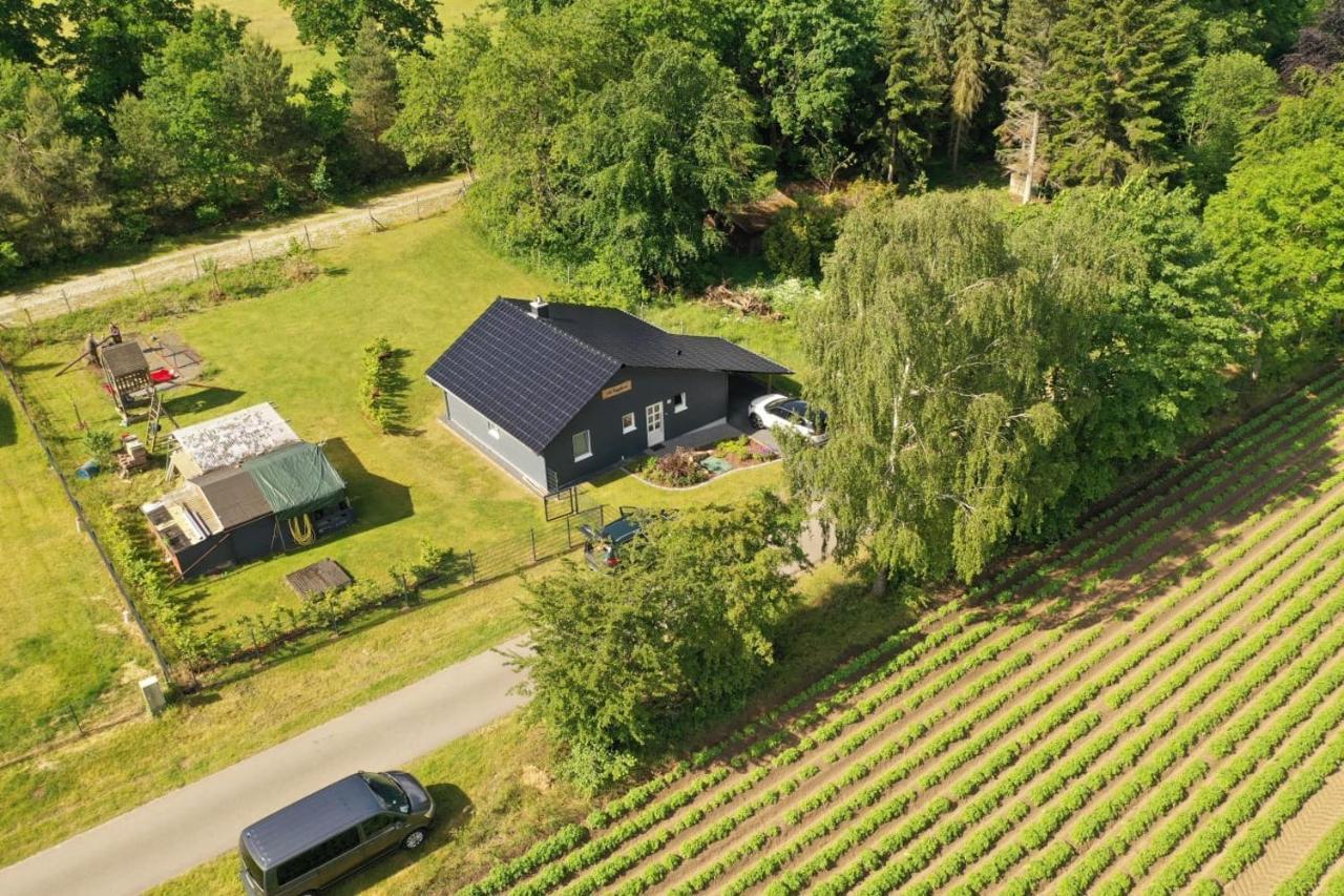 Ferienhaus “ Lille Hyggehytte“ Altenmedingen Екстер'єр фото